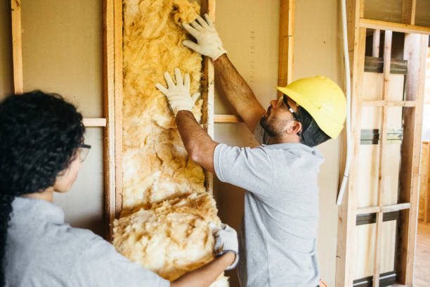 Best Basement Insulation  in Ramsey, MN